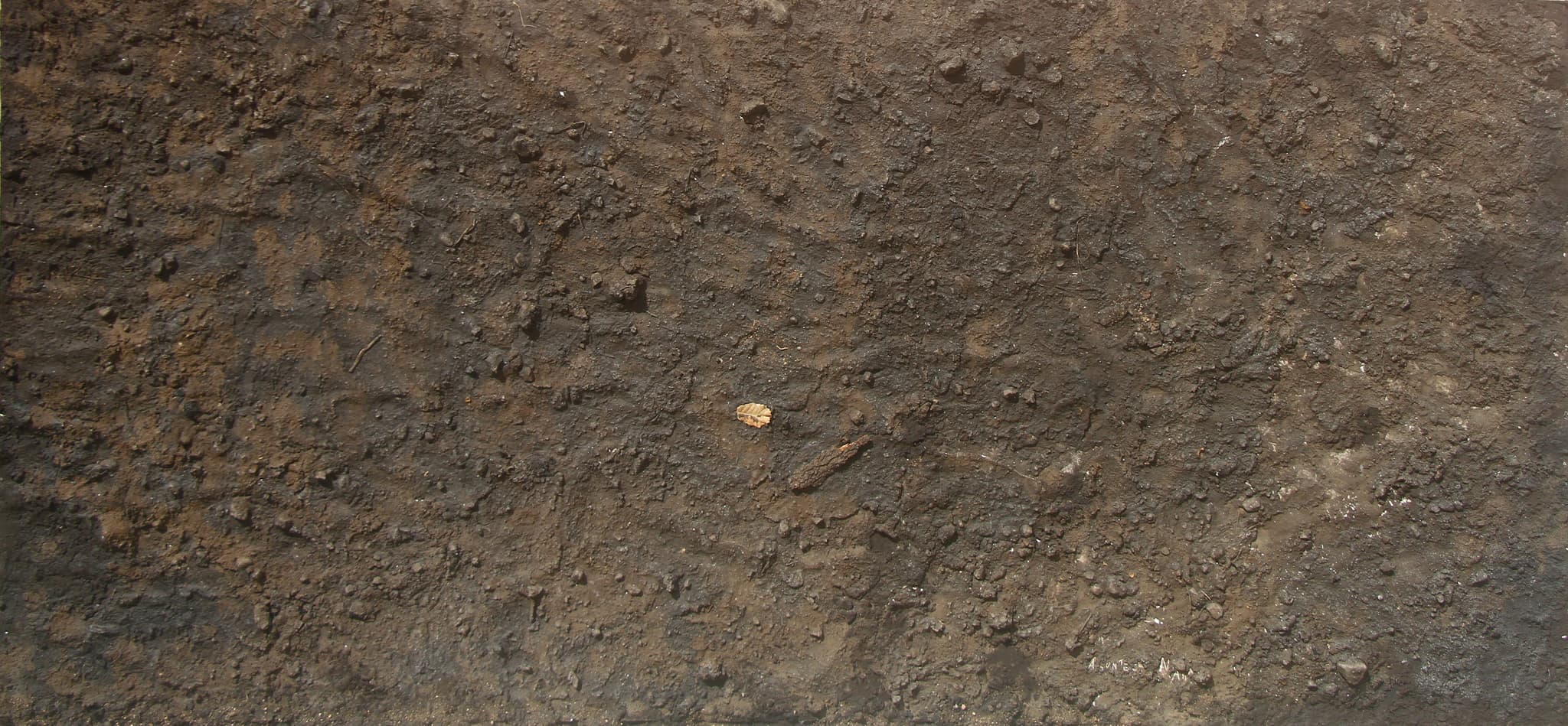 Interview with João Marques – Part Three: An Unexpected Connection