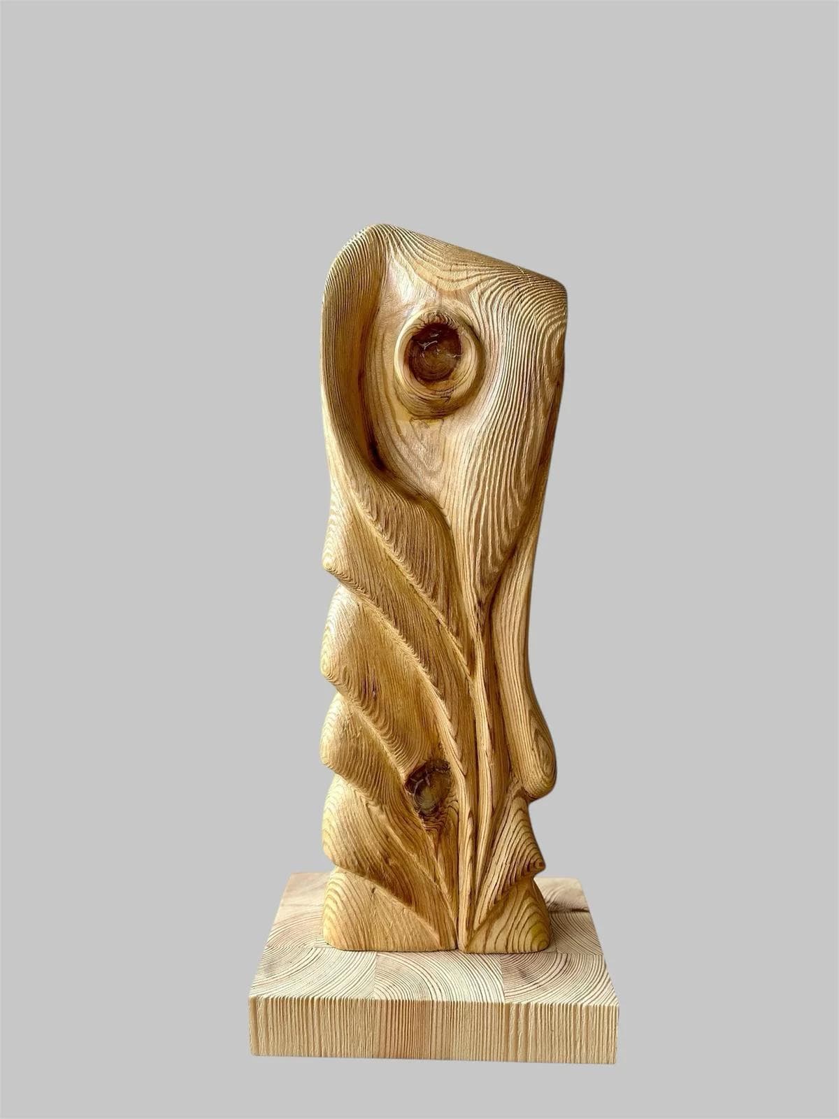 Entrelazados - Entwined