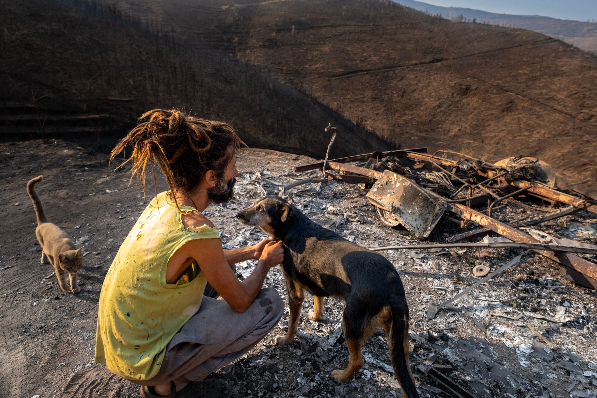 Fire and Loss: Julien Dumont's Lens on a Landscape Transformed