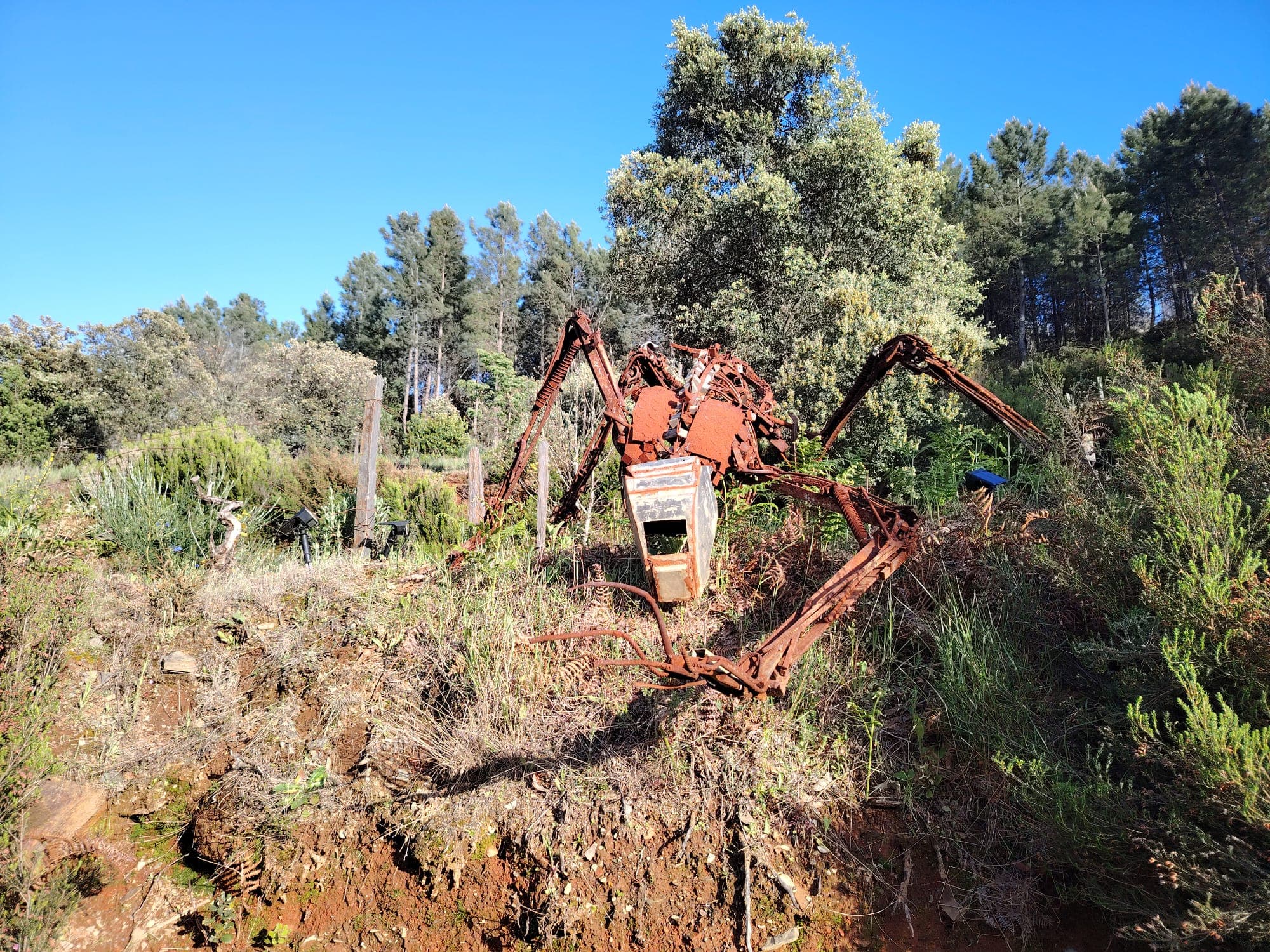 Xochi Art Sculpture Park