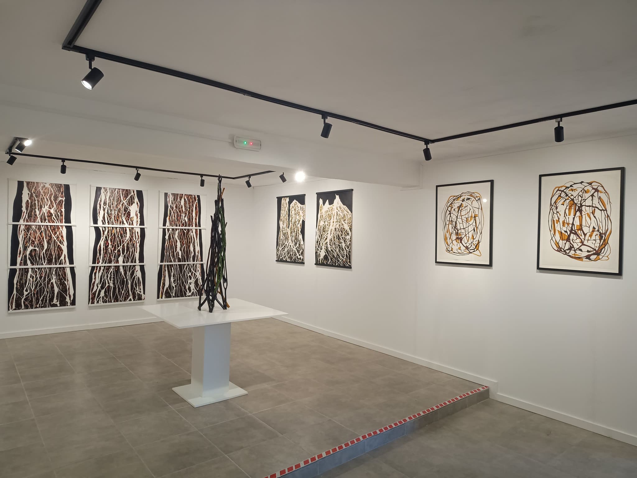 Why Serious Collectors Never Like Your Posts