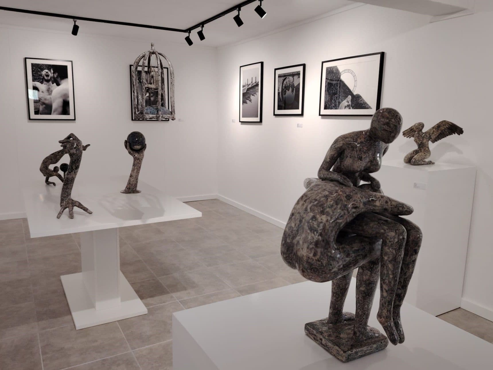 Sculpted Visions