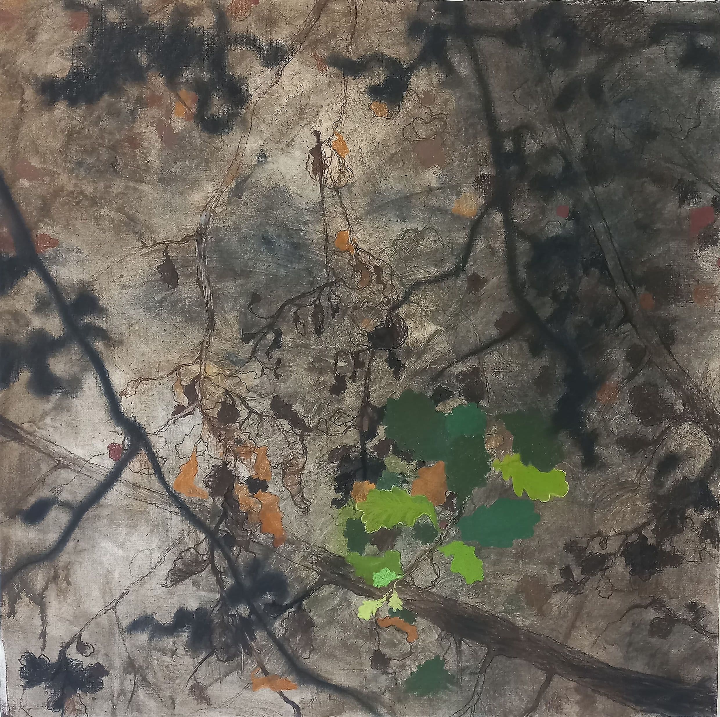 Interview with João Marques – Part Two: A Connection to the Earth
