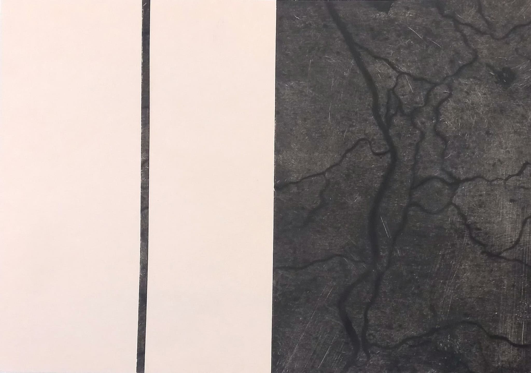 Topografias de um incêndio IV